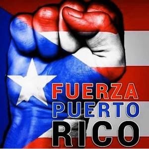 Meet your Posher, Olga leticha